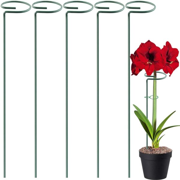 Single Stem Flower Plant Support (Pack Of 6)