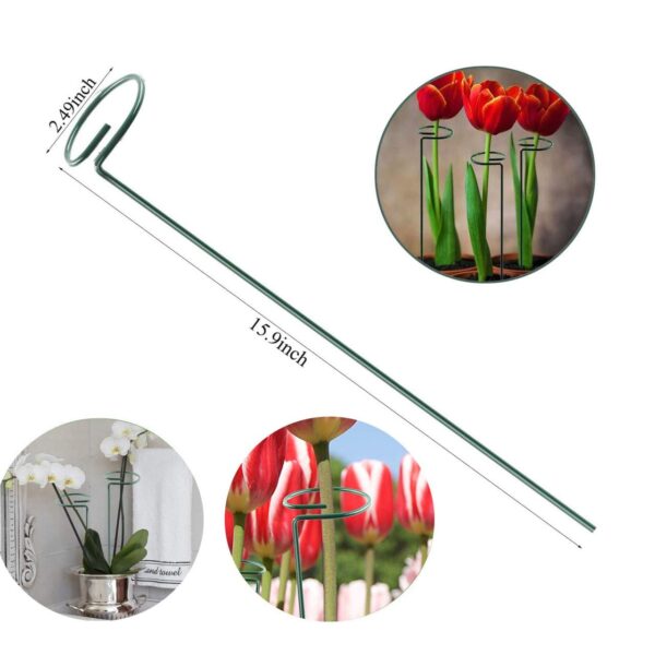 Single Stem Flower Plant Support (Pack Of 6) - Image 2