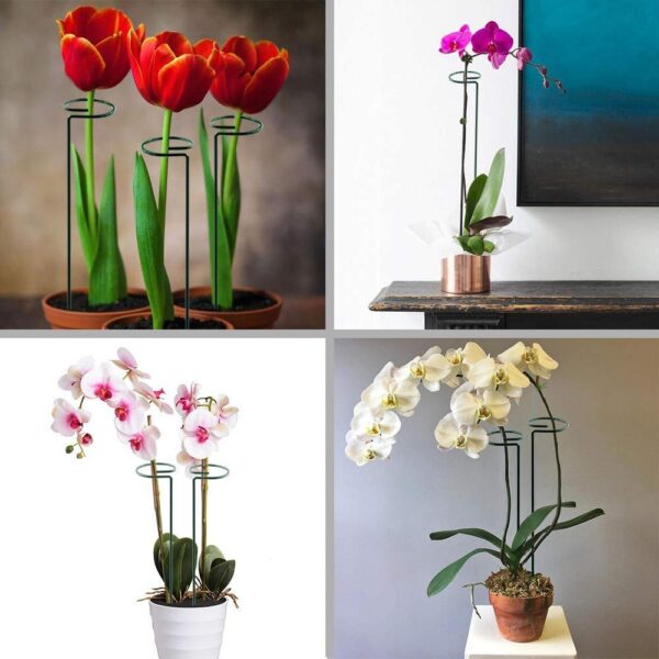 Single Stem Flower Plant Support (Pack Of 6) - Image 8