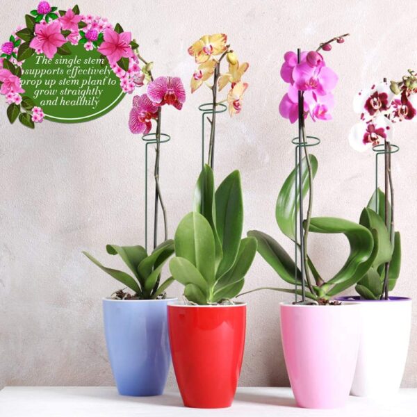 Single Stem Flower Plant Support (Pack Of 6) - Image 7